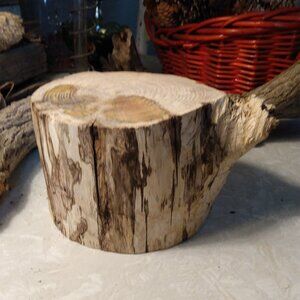 Natural Real Wood Small Stump Nature Garden Rustic Accent